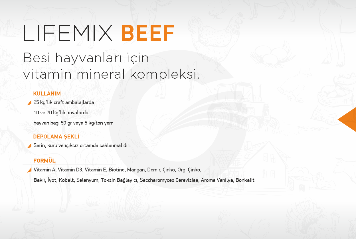 lifemix-beef-garanti-yem