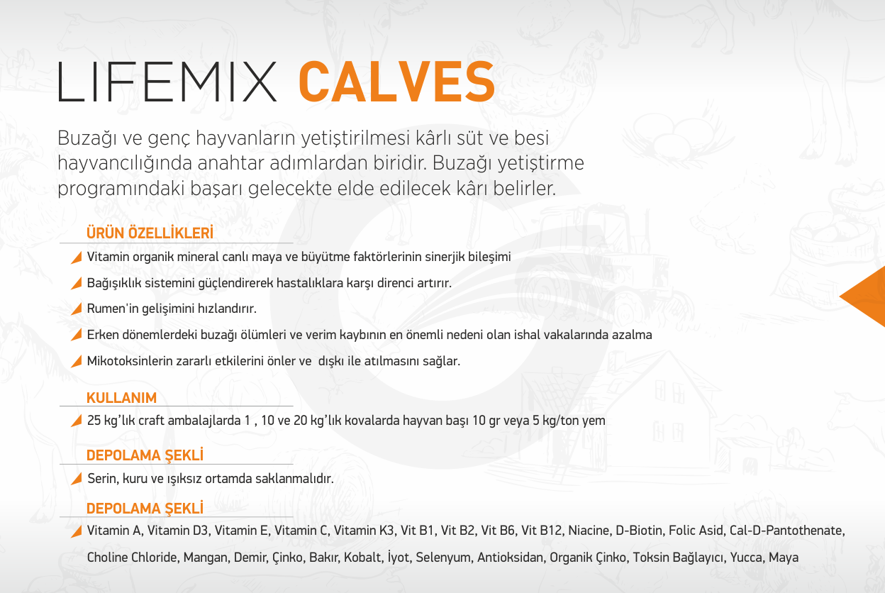 lifemix-calves