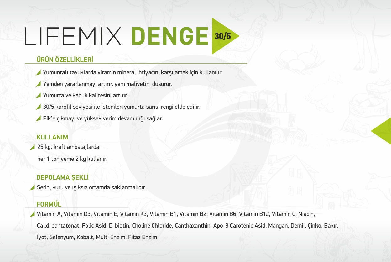 lifemix-denge
