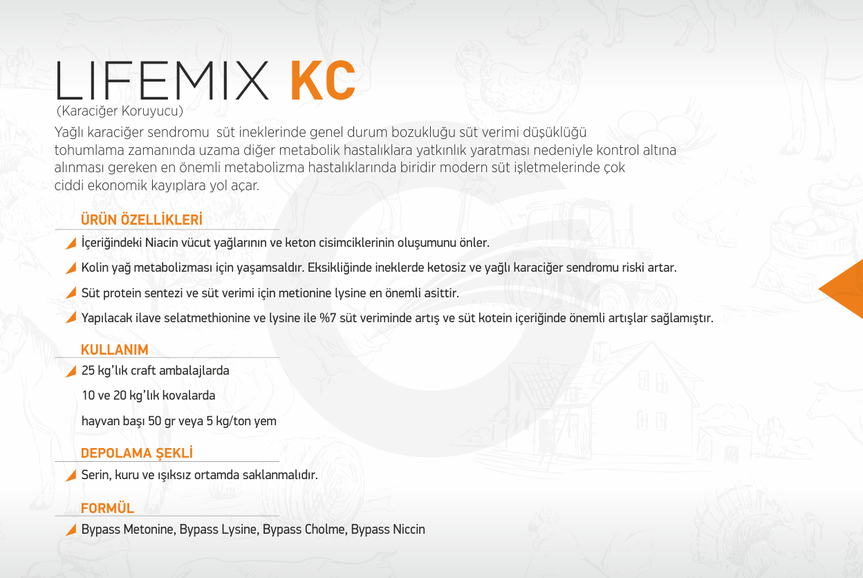 lifemix-kc