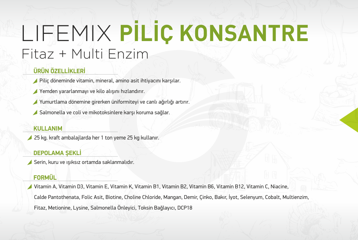 lifemix-pilic-konsantre